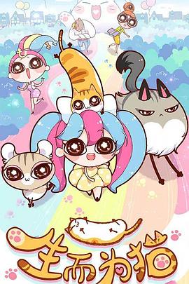 徐州云龙seo优化报价